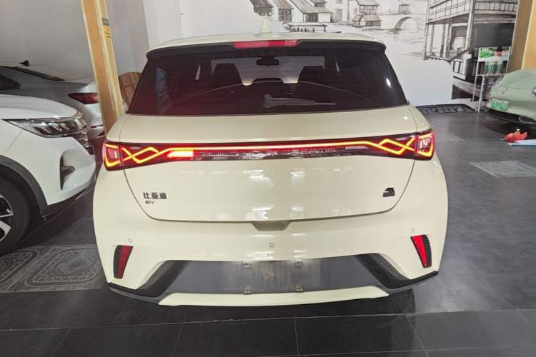 Used BYD Dolphin 2023 420 km Fashion Edition Rear