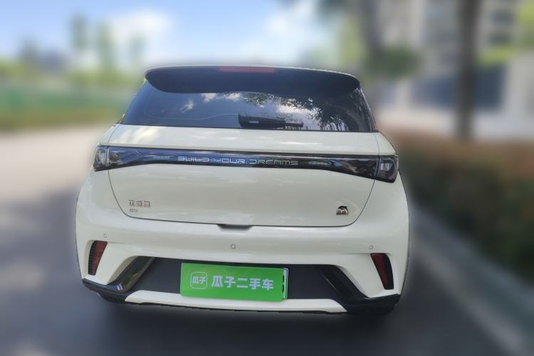 Used BYD Dolphin 2023 420 km Fashion Edition Rear