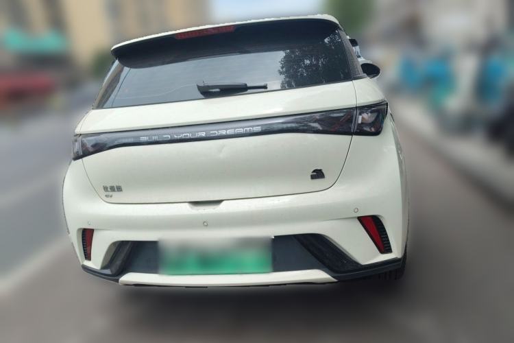 Used BYD Dolphin 2023 420 km Fashion Edition Rear
