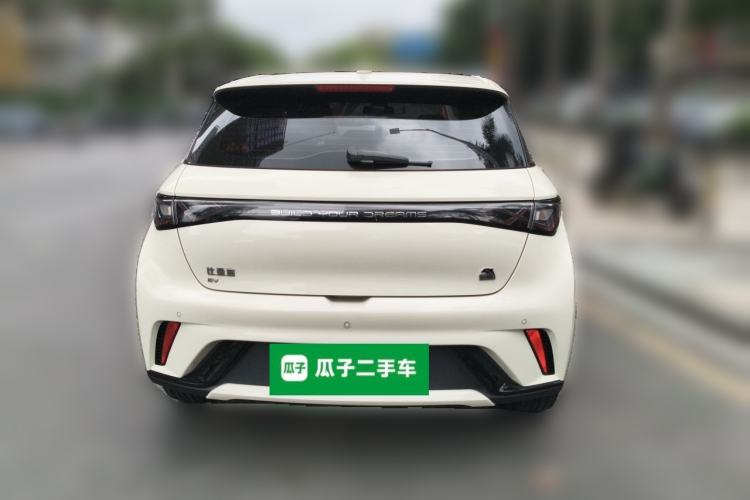 Used BYD Dolphin 2023 420 km Fashion Edition Rear