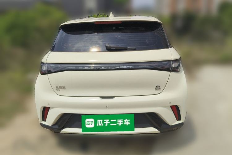 Used BYD Dolphin 2023 420 km Free Version Rear