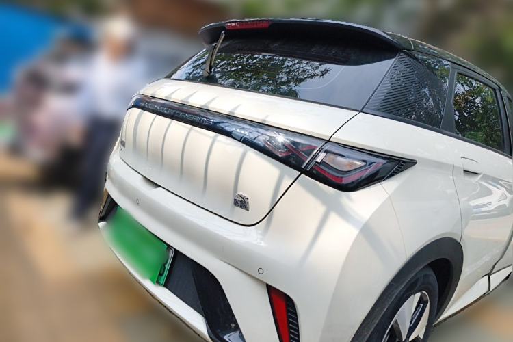 Used BYD Dolphin 2023 420 km Fashion Edition Rear