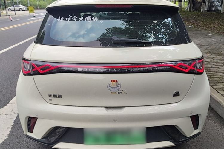 Used BYD Dolphin 2023 420 km Fashion Edition Rear