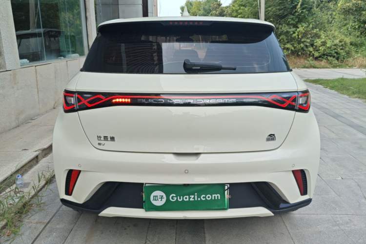 Used BYD Dolphin 2023 420 km Fashion Edition Rear