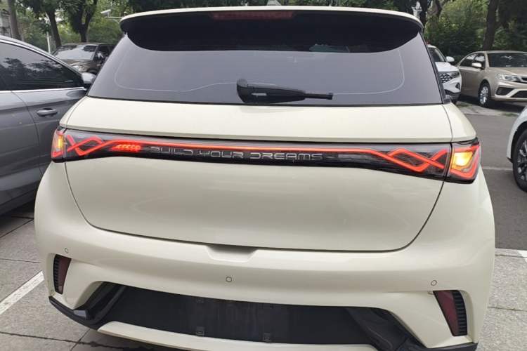 Used BYD Dolphin 2023 420 km Fashion Edition Rear