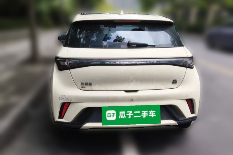 Used BYD Dolphin 2023 420 km Fashion Edition Rear