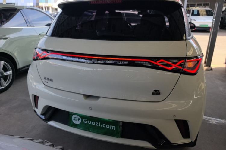 Used BYD Dolphin 2023 420 km Fashion Edition Rear