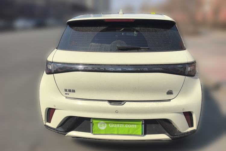 Used BYD Dolphin 2023 420 km Fashion Edition Rear