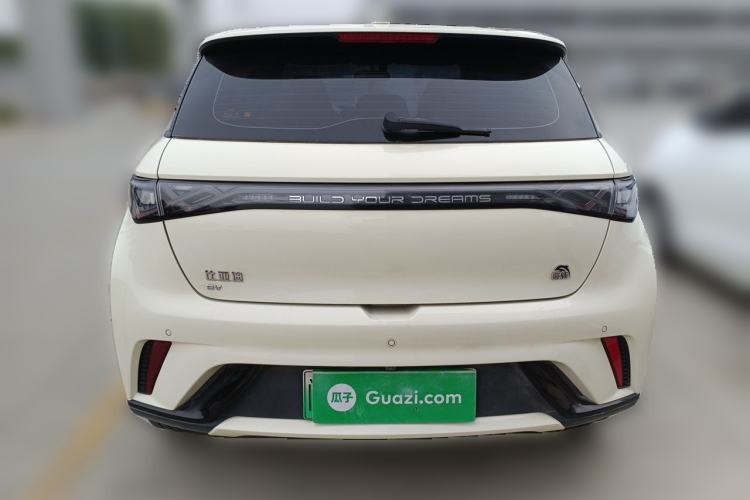 Used BYD Dolphin 2023 420 km Free Version Rear