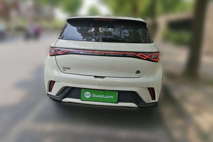 Used BYD Dolphin 2023 420 km Fashion Edition Rear
