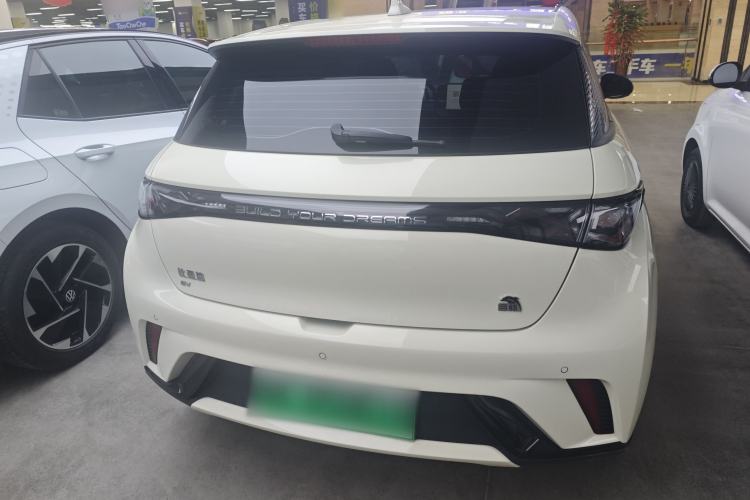 Used BYD Dolphin 2023 420 km Fashion Edition Rear
