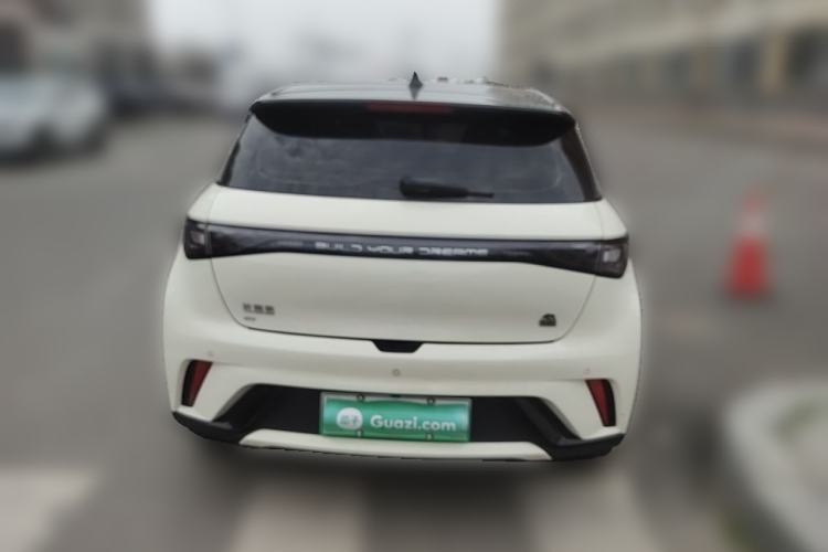 Used BYD Dolphin 2023 420 km Fashion Edition Rear