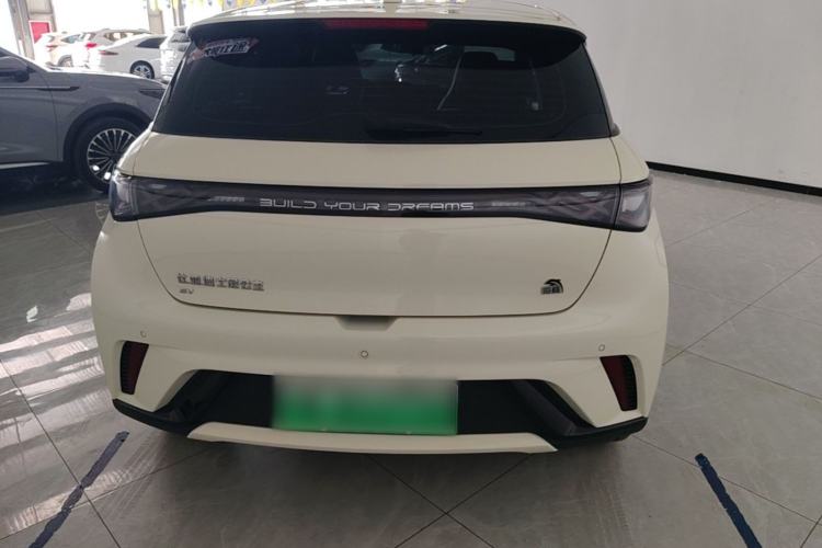 Used BYD Dolphin 2023 420 km Free Version Rear