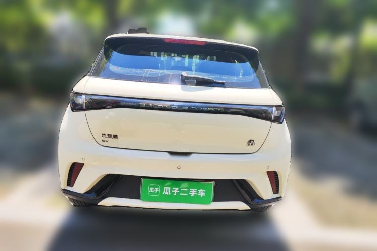 Used BYD Dolphin 2023 420 km Free Version Rear