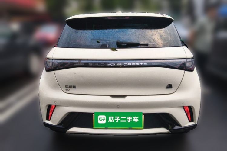 Used BYD Dolphin 2023 420 km Fashion Edition Rear