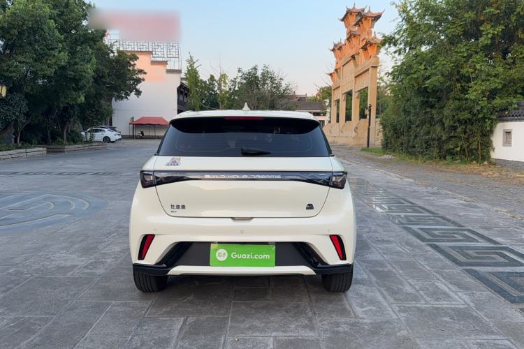 Used BYD Dolphin 2023 420 km Free Version Rear