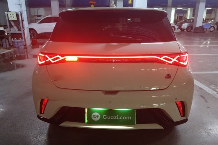 Used BYD Dolphin 2023 420 km Free Version Rear