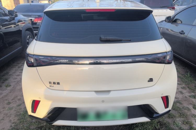 Used BYD Dolphin 2023 420 km Fashion Edition Rear