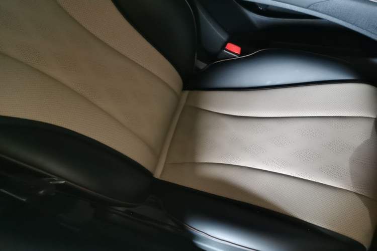 Used BYD Dolphin 2023 420 km Free Version Right Front Seat