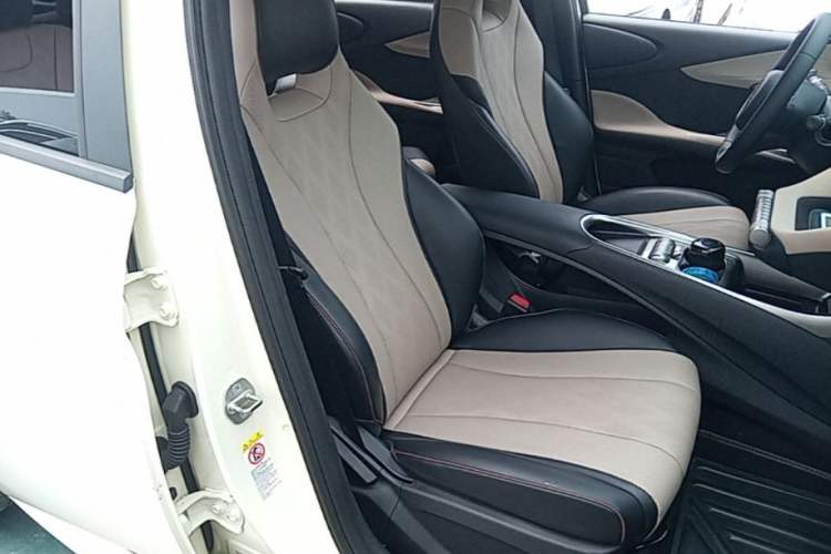Used BYD Dolphin 2023 420 km Free Version Right Front Seat