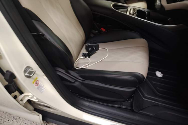 Used BYD Dolphin 2023 420 km Free Version Right Front Seat