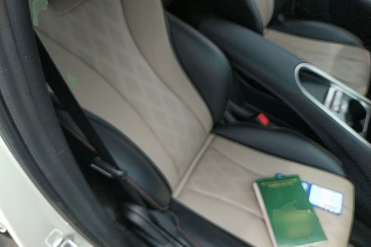 Used BYD Dolphin 2023 420 km Free Version Right Front Seat