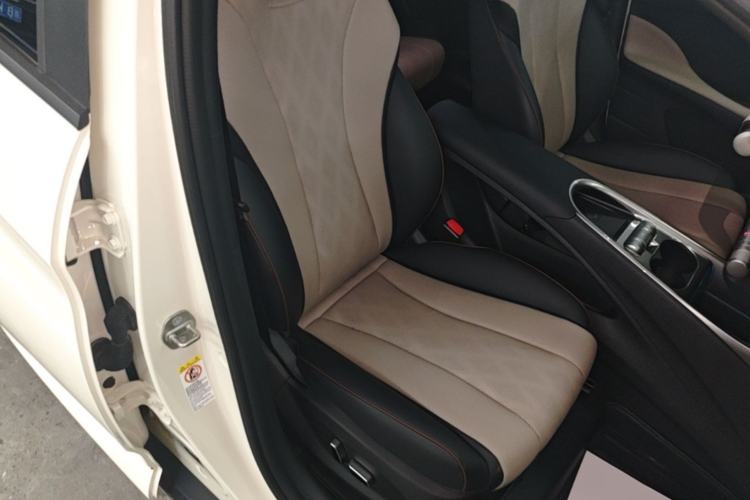 Used BYD Dolphin 2023 420 km Fashion Edition Right Front Seat