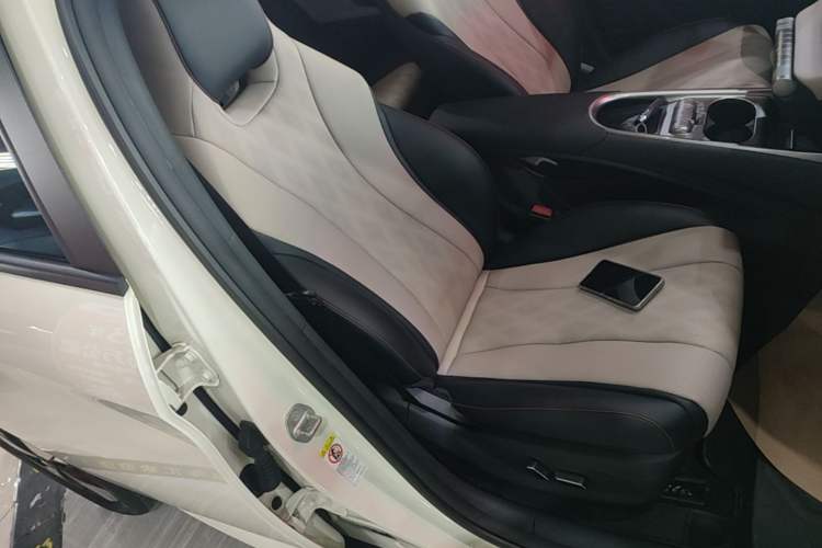 Used BYD Dolphin 2023 420 km Fashion Edition Right Front Seat