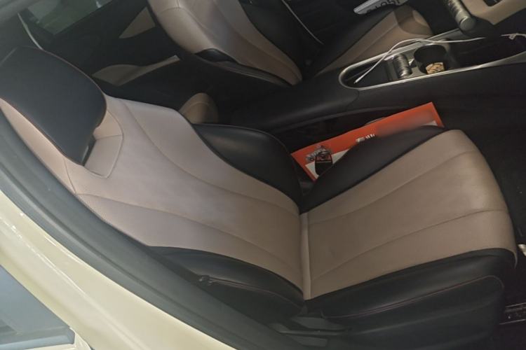 Used BYD Dolphin 2023 420 km Free Version Right Front Seat