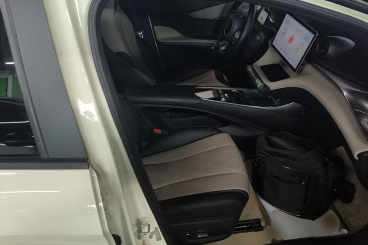 Used BYD Dolphin 2023 420 km Fashion Edition Right Front Seat