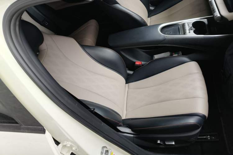 Used BYD Dolphin 2023 420 km Fashion Edition Right Front Seat