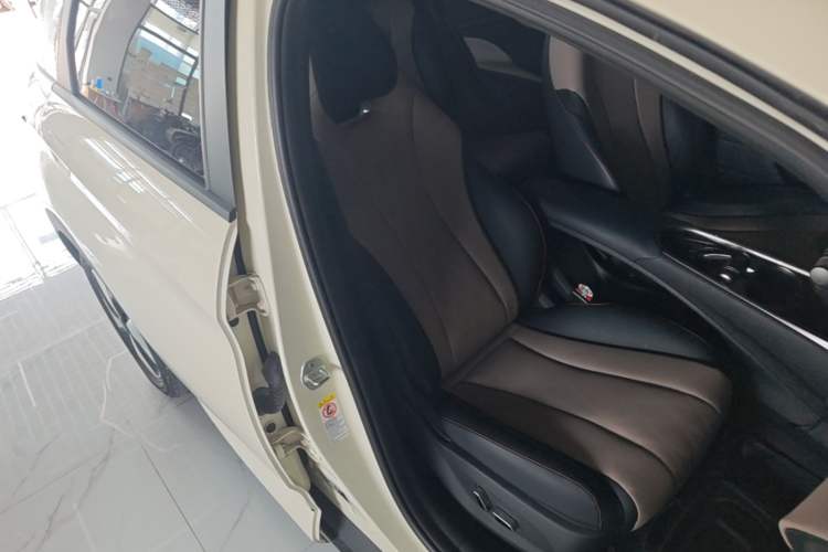 Used BYD Dolphin 2023 420 km Fashion Edition Right Front Seat