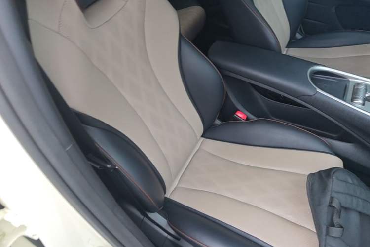 Used BYD Dolphin 2023 420 km Fashion Edition Right Front Seat