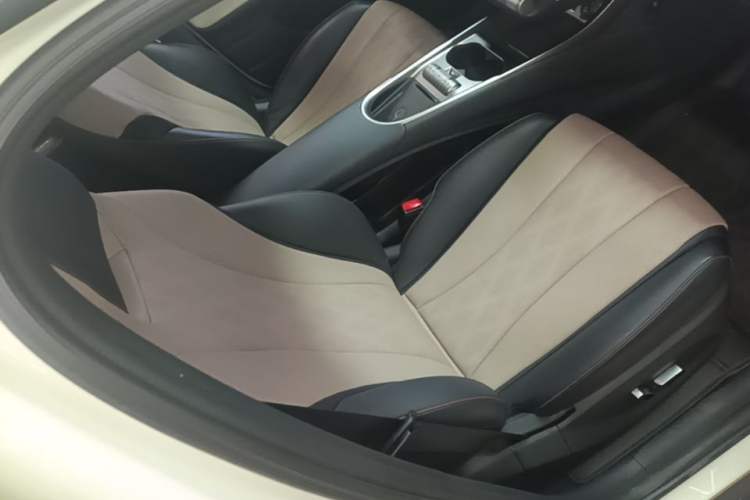 Used BYD Dolphin 2023 420 km Fashion Edition Right Front Seat