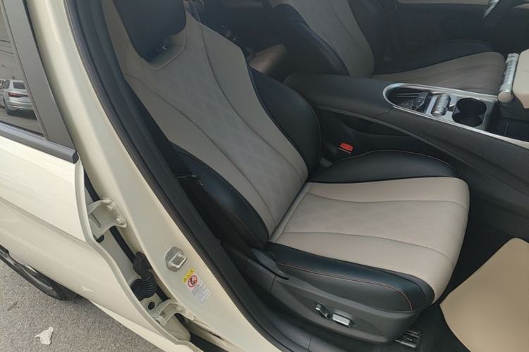 Used BYD Dolphin 2023 420 km Fashion Edition Right Front Seat