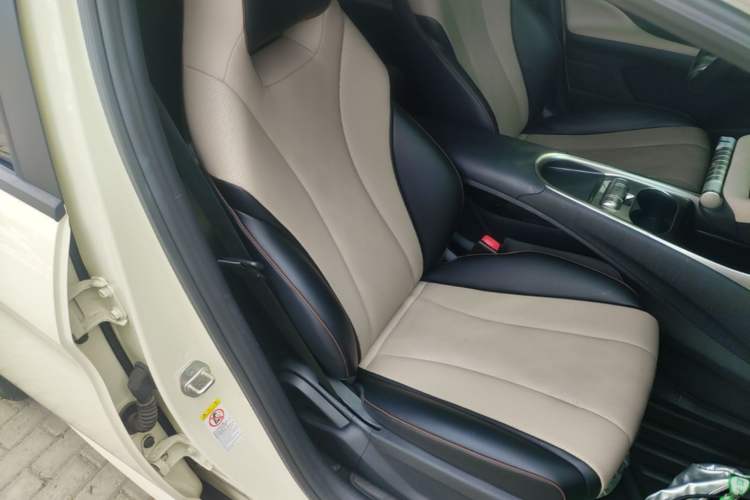 Used BYD Dolphin 2023 420 km Free Version Right Front Seat