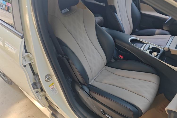 Used BYD Dolphin 2023 420 km Fashion Edition Right Front Seat