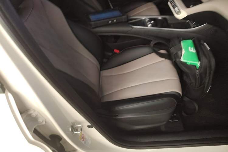 Used BYD Dolphin 2023 420 km Free Version Right Front Seat