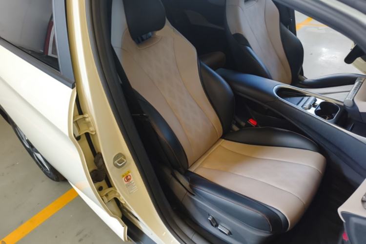 Used BYD Dolphin 2023 420 km Fashion Edition Right Front Seat