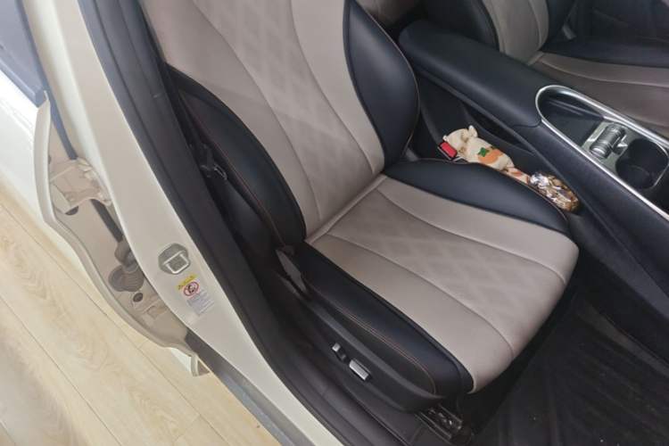 Used BYD Dolphin 2023 420 km Fashion Edition Right Front Seat