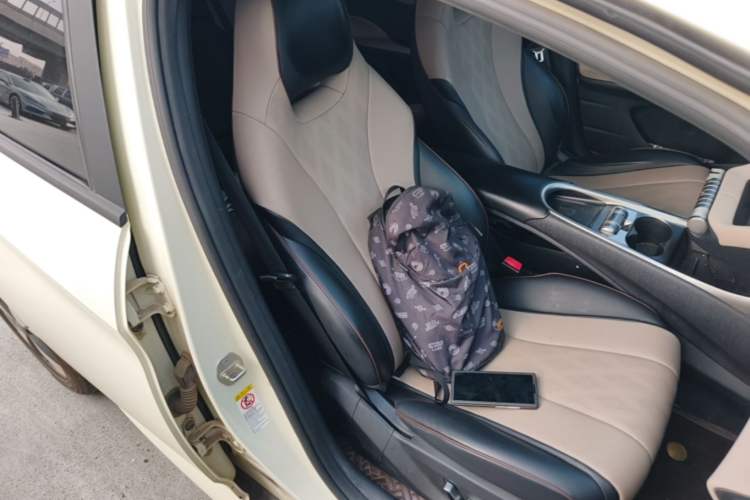 Used BYD Dolphin 2023 420 km Fashion Edition Right Front Seat