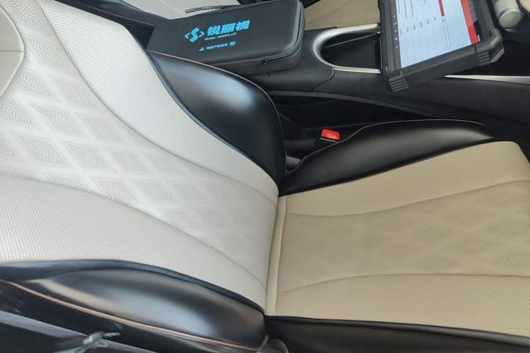 Used BYD Dolphin 2023 420 km Free Version Right Front Seat