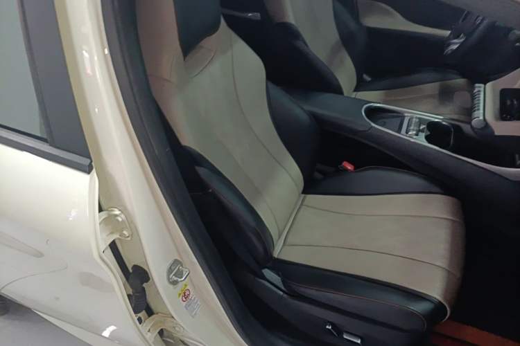 Used BYD Dolphin 2023 420 km Fashion Edition Right Front Seat