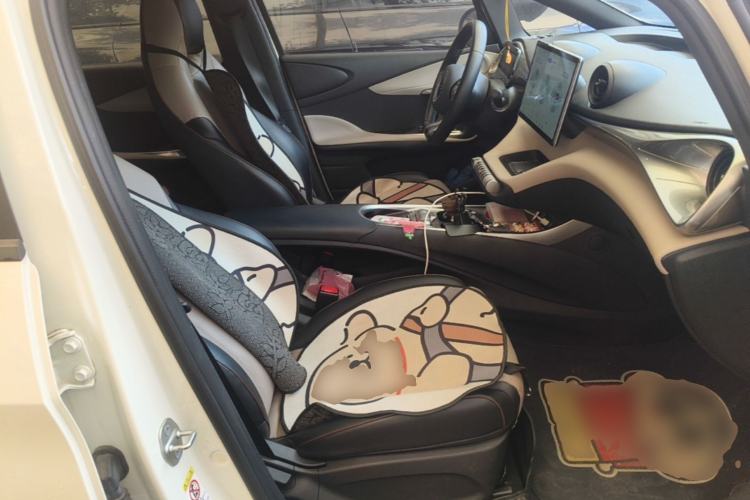 Used BYD Dolphin 2023 420 km Free Version Right Front Seat