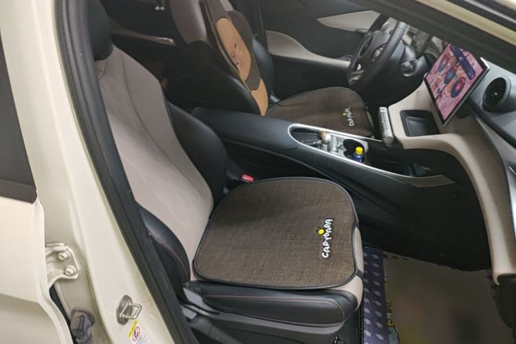 Used BYD Dolphin 2023 420 km Free Version Right Front Seat