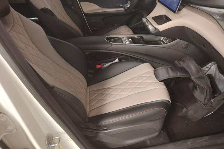 Used BYD Dolphin 2023 420 km Free Version Right Front Seat