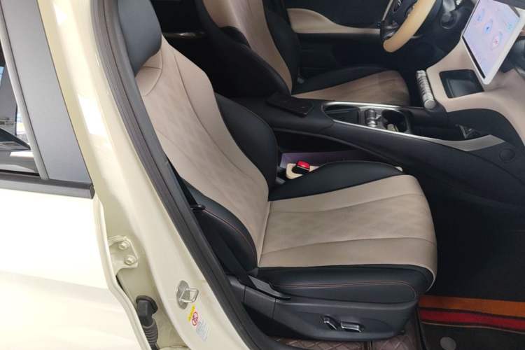 Used BYD Dolphin 2023 420 km Fashion Edition Right Front Seat