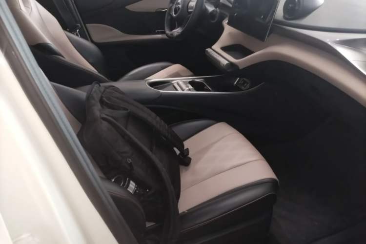 Used BYD Dolphin 2023 420 km Free Version Right Front Seat