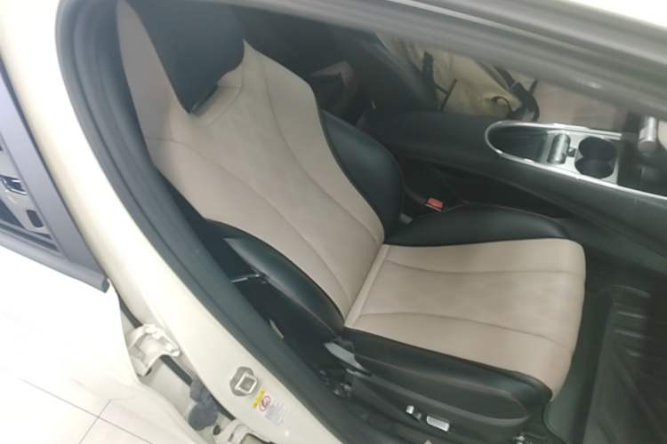 Used BYD Dolphin 2023 420 km Fashion Edition Right Front Seat