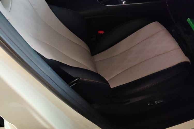 Used BYD Dolphin 2023 420 km Fashion Edition Right Front Seat